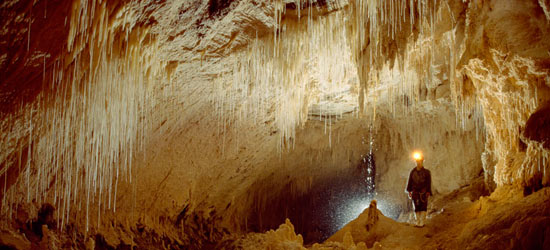 Waitomo Caves